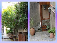 183 D24 BORMES LES MIMOSAS 2_000002